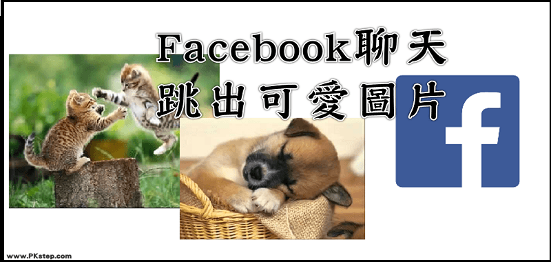 Facebook-DAILYCUTE-min