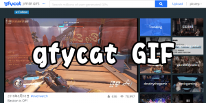Gfycat 免費影像上傳空間－將影片、GIF動畫檔轉成HTML5教學
