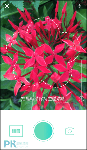 形色_辨識植物App2