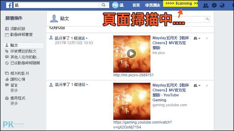 Social Book Post Manager批次刪除fb貼文5