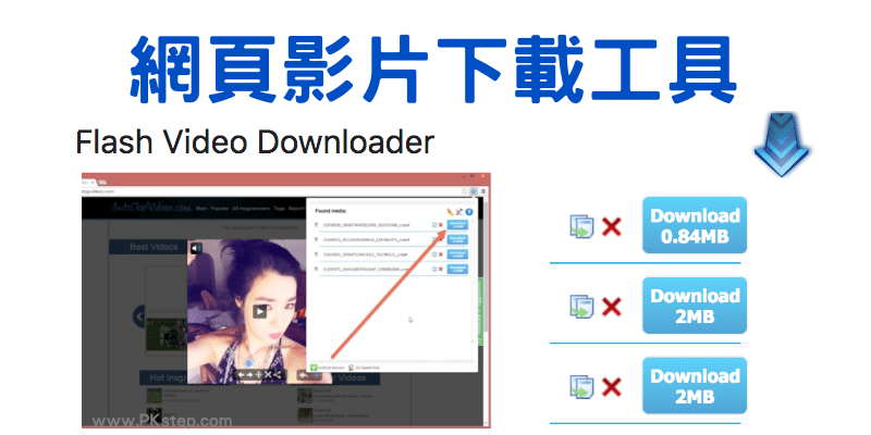 flash-viedeo-downloader