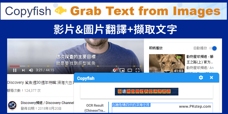 Copyfish_grab_text-form-images