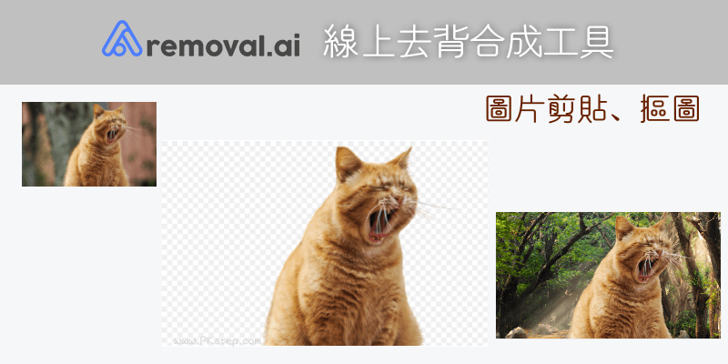 Removal-ai線上圖片剪貼摳圖