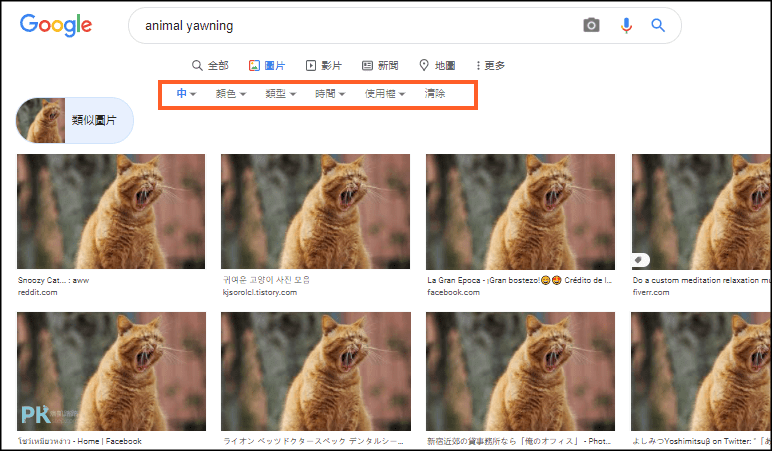 Google以圖搜尋-教學4