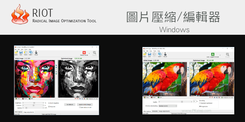 RIOT批次圖片壓縮編輯軟體