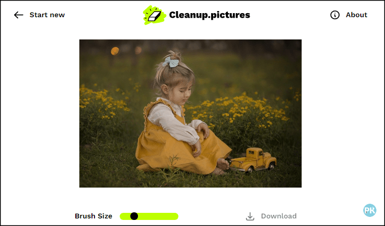 Cleanup.pictures從照片刪除某個人物、缺陷或物品2