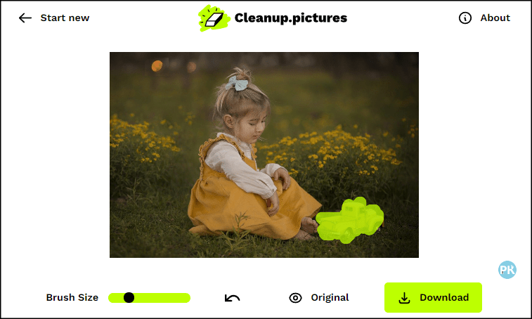 Cleanup.pictures從照片刪除某個人物、缺陷或物品3