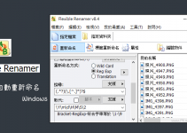 Flexible Renamer照片/檔案自動重新命名軟體，根據日期、自訂條件…批次變更檔名！免費下載（Windows）。